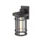 Z-Lite Jordan 1 Light Outdoor Wall Sconce, Black And Clear Seedy 570M-BK - alternate 3
